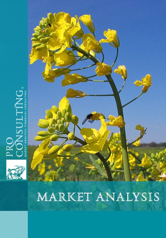 Market research of rapeseed in Ukraine. 2004